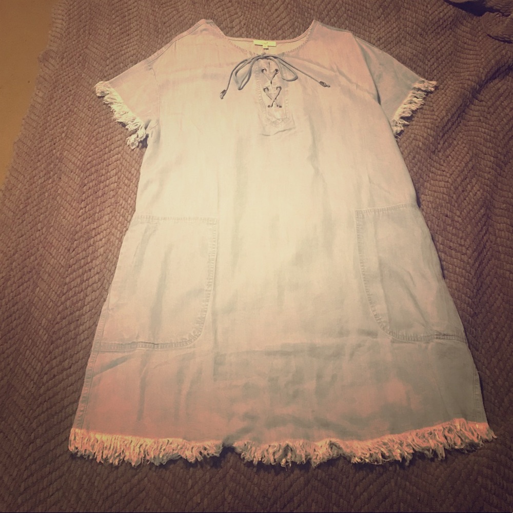 Chambray Dress